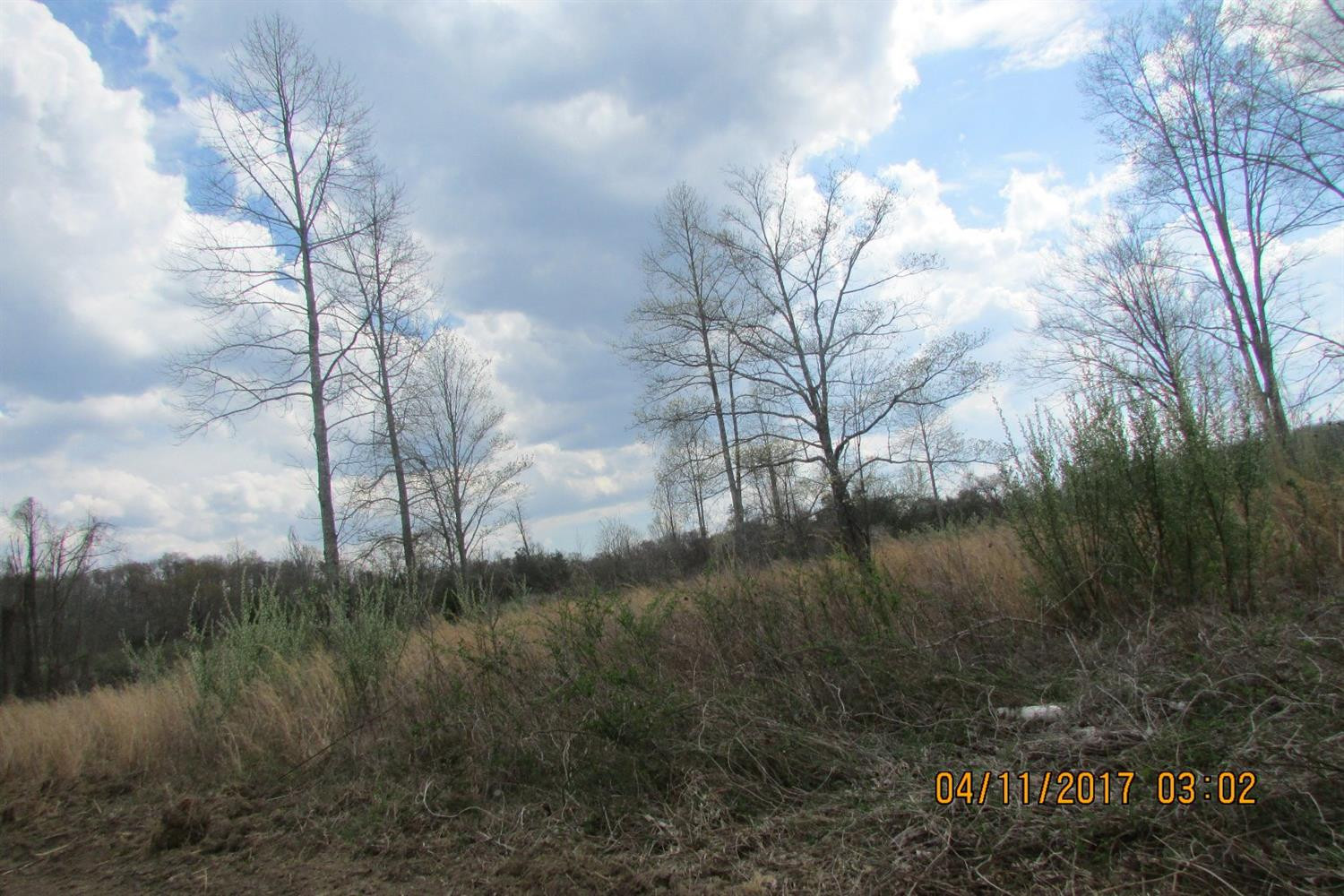 100 Old Stinking Creek Road Property Photo 8