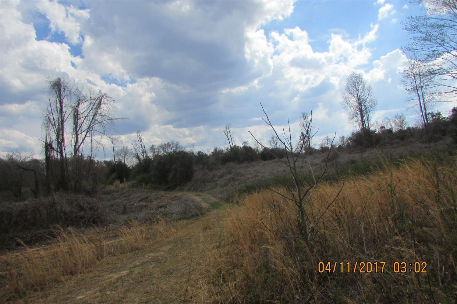 100 Old Stinking Creek Road Property Photo 11