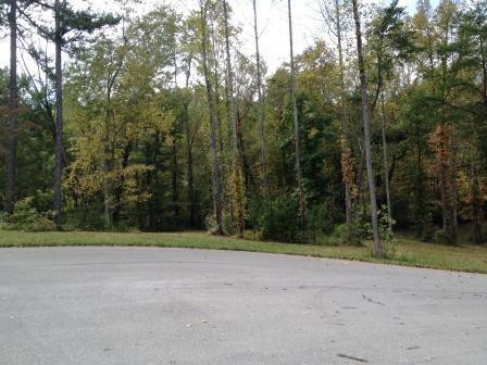 14 Deerfoot Valley Property Photo 7