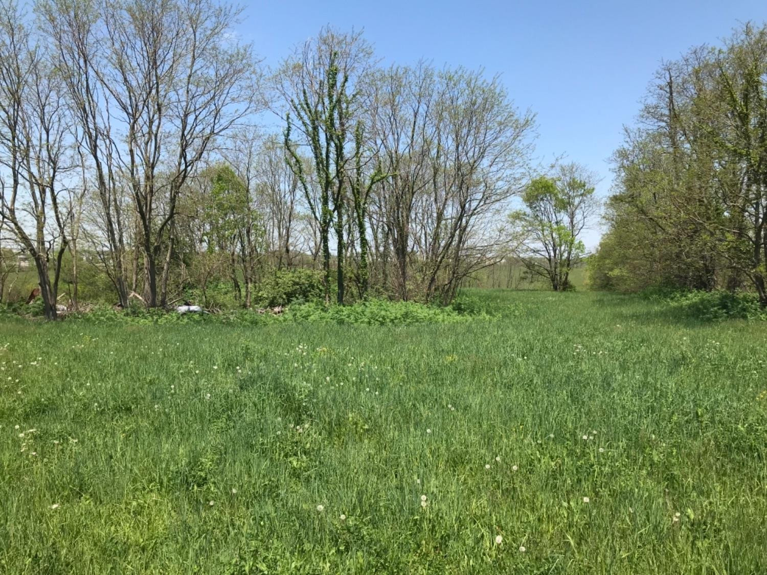 0 Sims Pike Property Photo 4