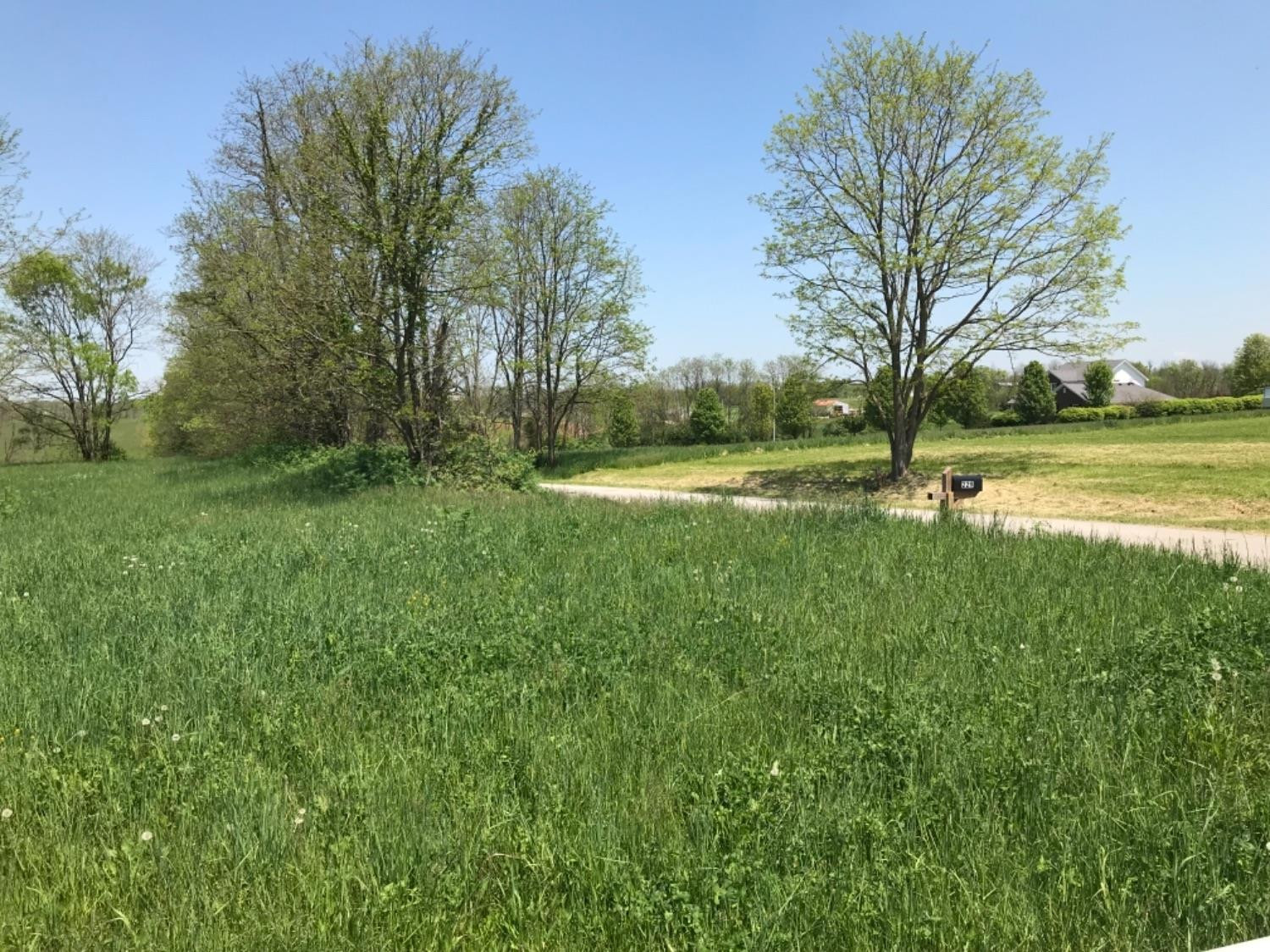 0 Sims Pike Property Photo 6