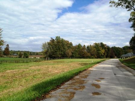 40 Deerfoot Valley Property Photo 9