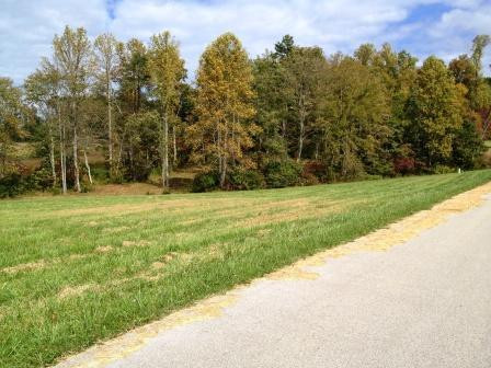 40 Deerfoot Valley Property Photo 10