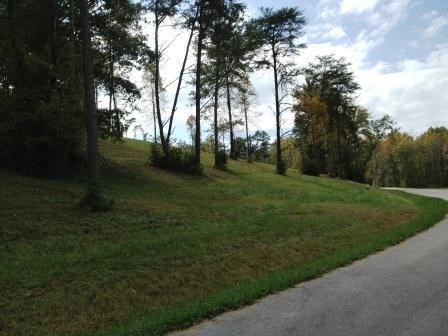 66 Deerfoot Valley Property Photo 6