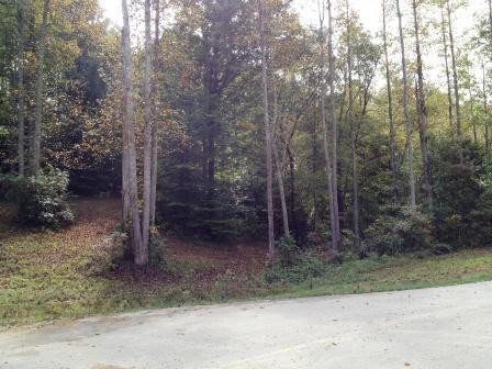 65 Deerfoot Valley Property Photo 3