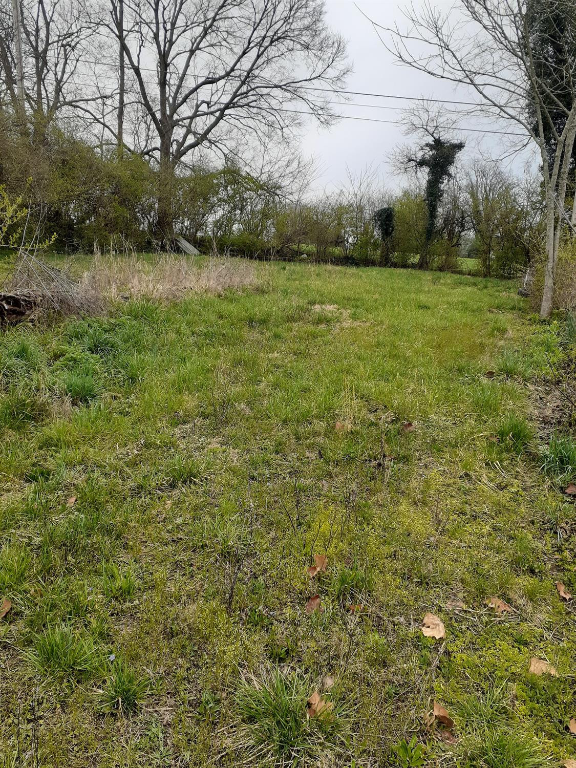 339 Young Drive Property Photo 1