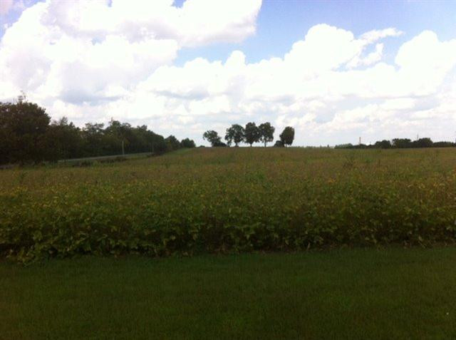 4700 Haley Downs Drive Property Photo 3