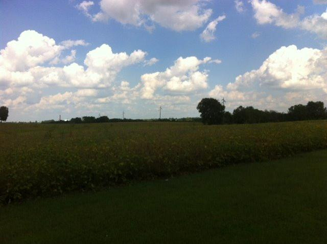 4700 Haley Downs Drive Property Photo 4