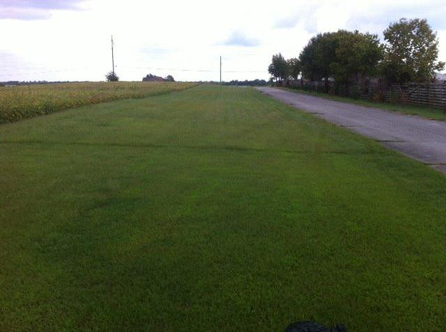 4700 Haley Downs Drive Property Photo 6