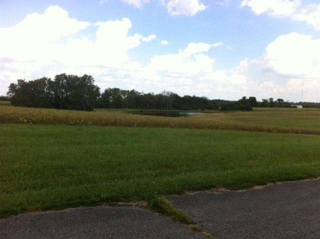 4700 Haley Downs Drive Property Photo 7