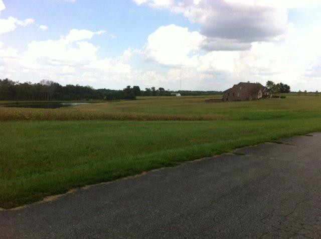 4700 Haley Downs Drive Property Photo 8