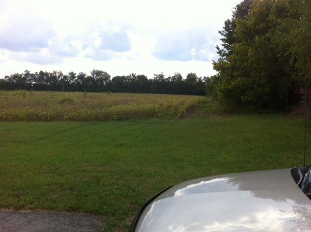 4700 Haley Downs Drive Property Photo 11