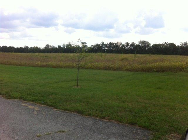 4700 Haley Downs Drive Property Photo 12