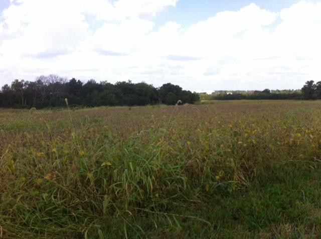 4700 Haley Downs Drive Property Photo 14