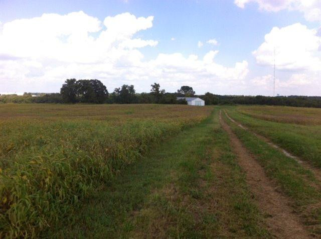 4700 Haley Downs Drive Property Photo 15