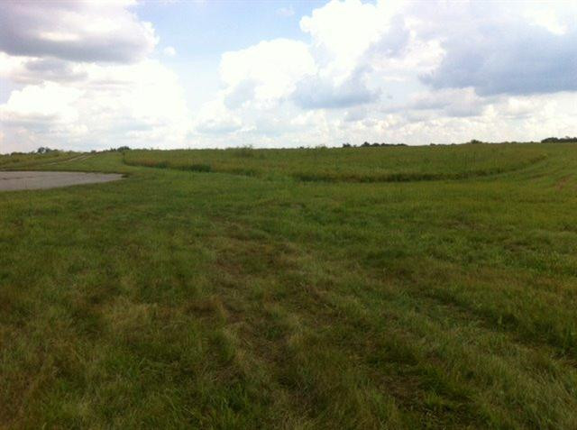 4700 Haley Downs Drive Property Photo 20