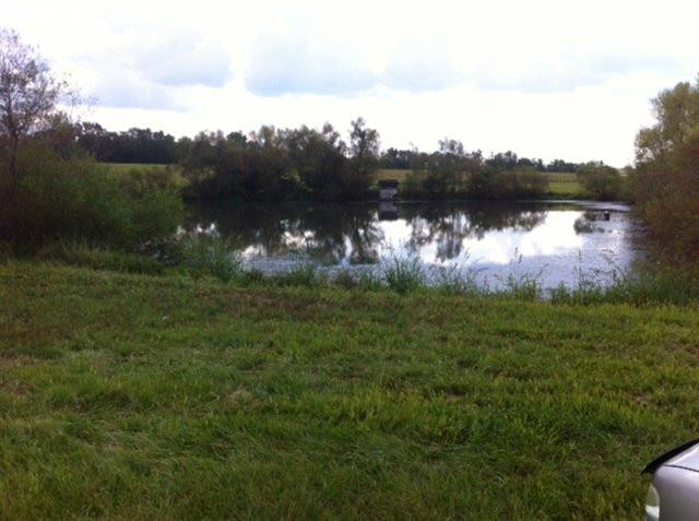 4700 Haley Downs Drive Property Photo 21