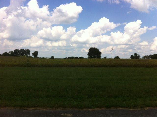 4700 Haley Downs Drive Property Photo 25
