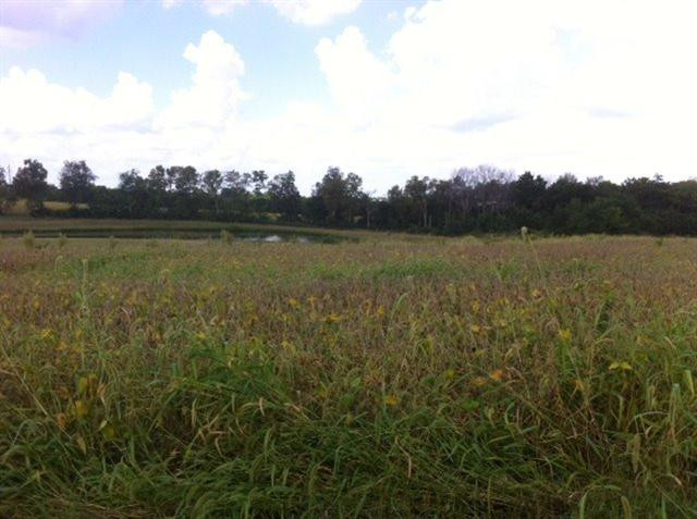 4700 Haley Downs Drive Property Photo 26
