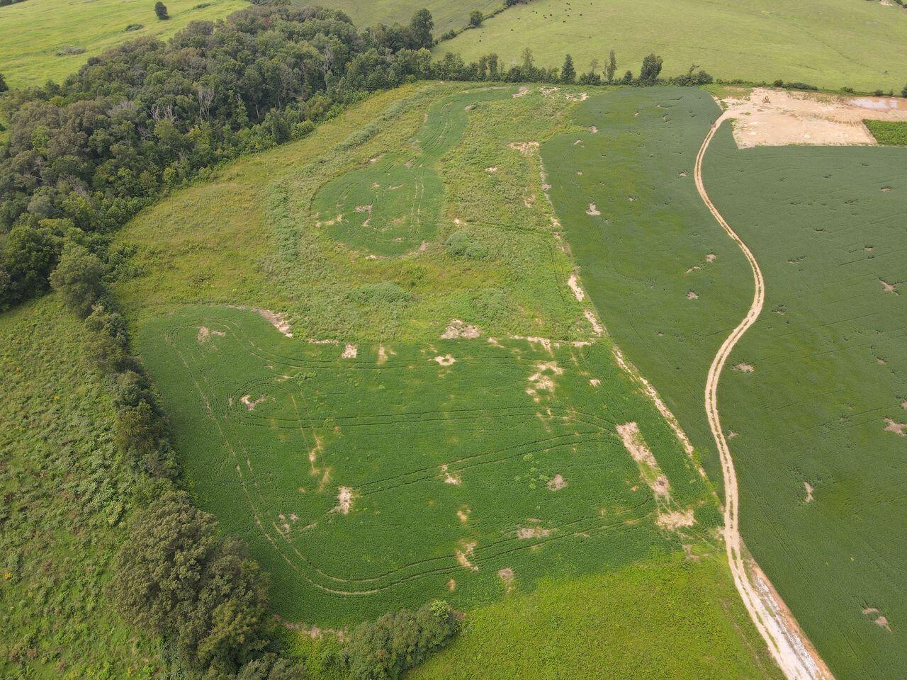 78 Hwy 461 Property Photo 35