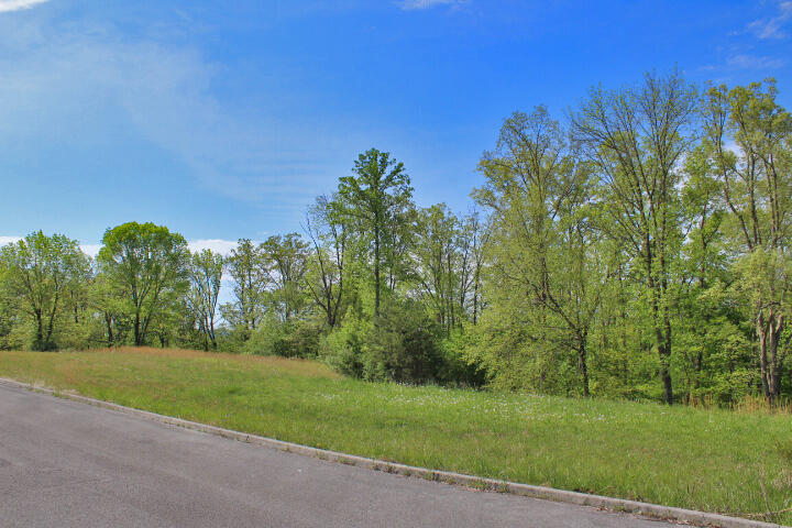 100 Lake Crest Drive Property Photo 3