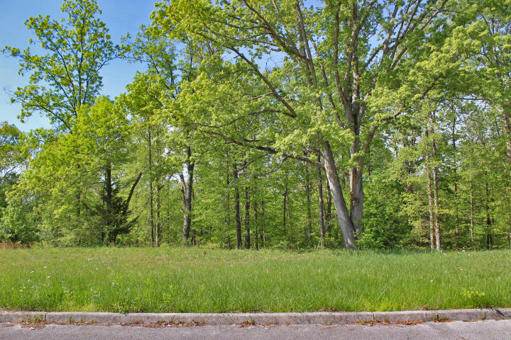 64 Lake Crest Drive Property Photo 3