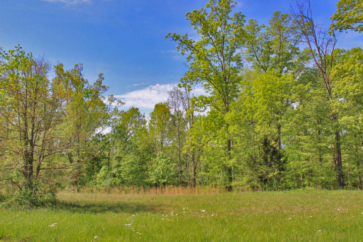 64 Lake Crest Drive Property Photo 4