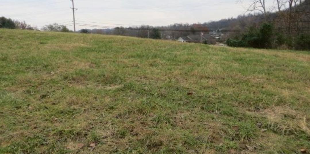 954 Wilkinson Property Photo 3