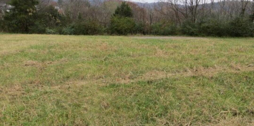 954 Wilkinson Property Photo 4