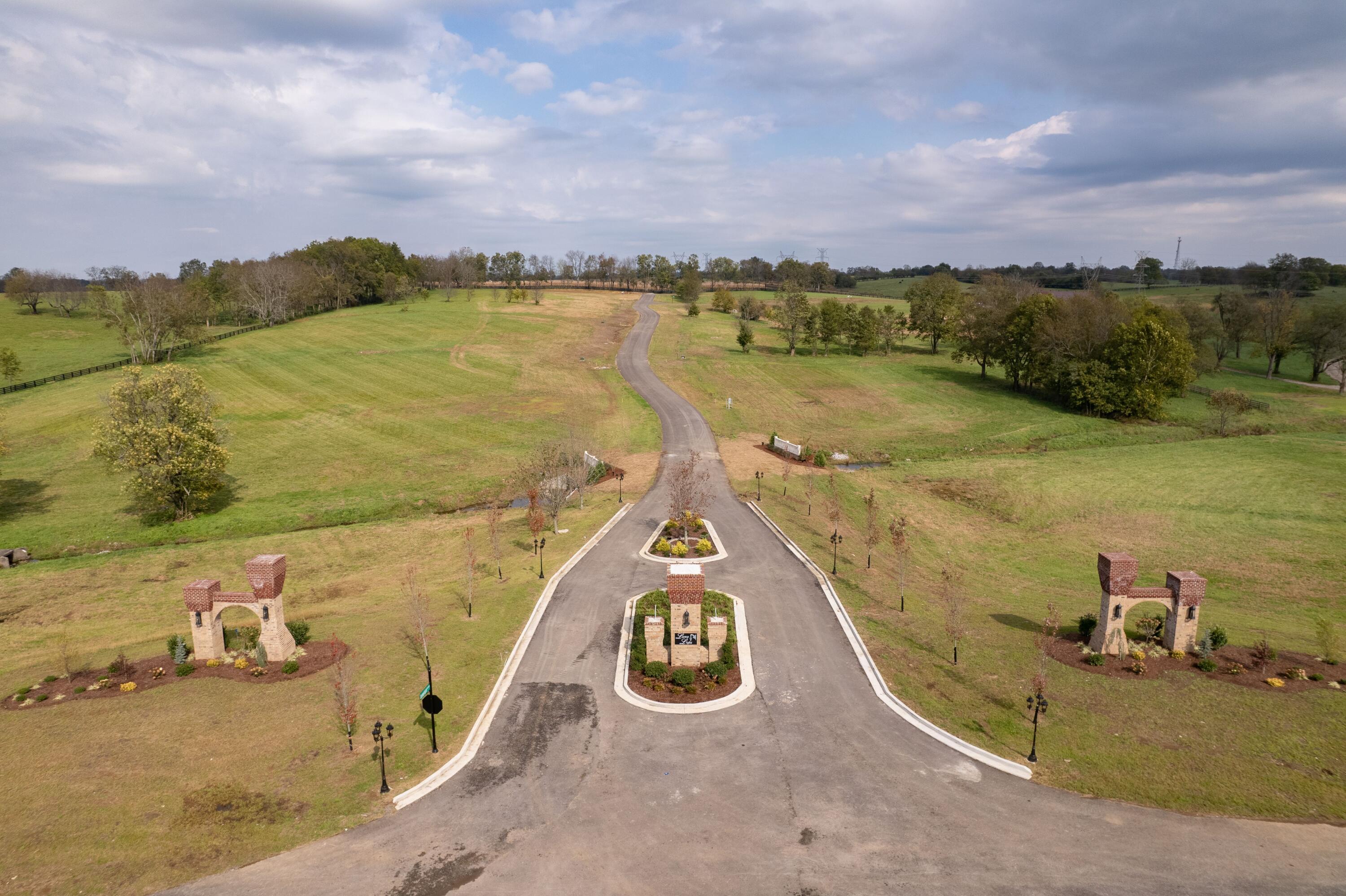 121 Lamplight Landing Property Photo 4