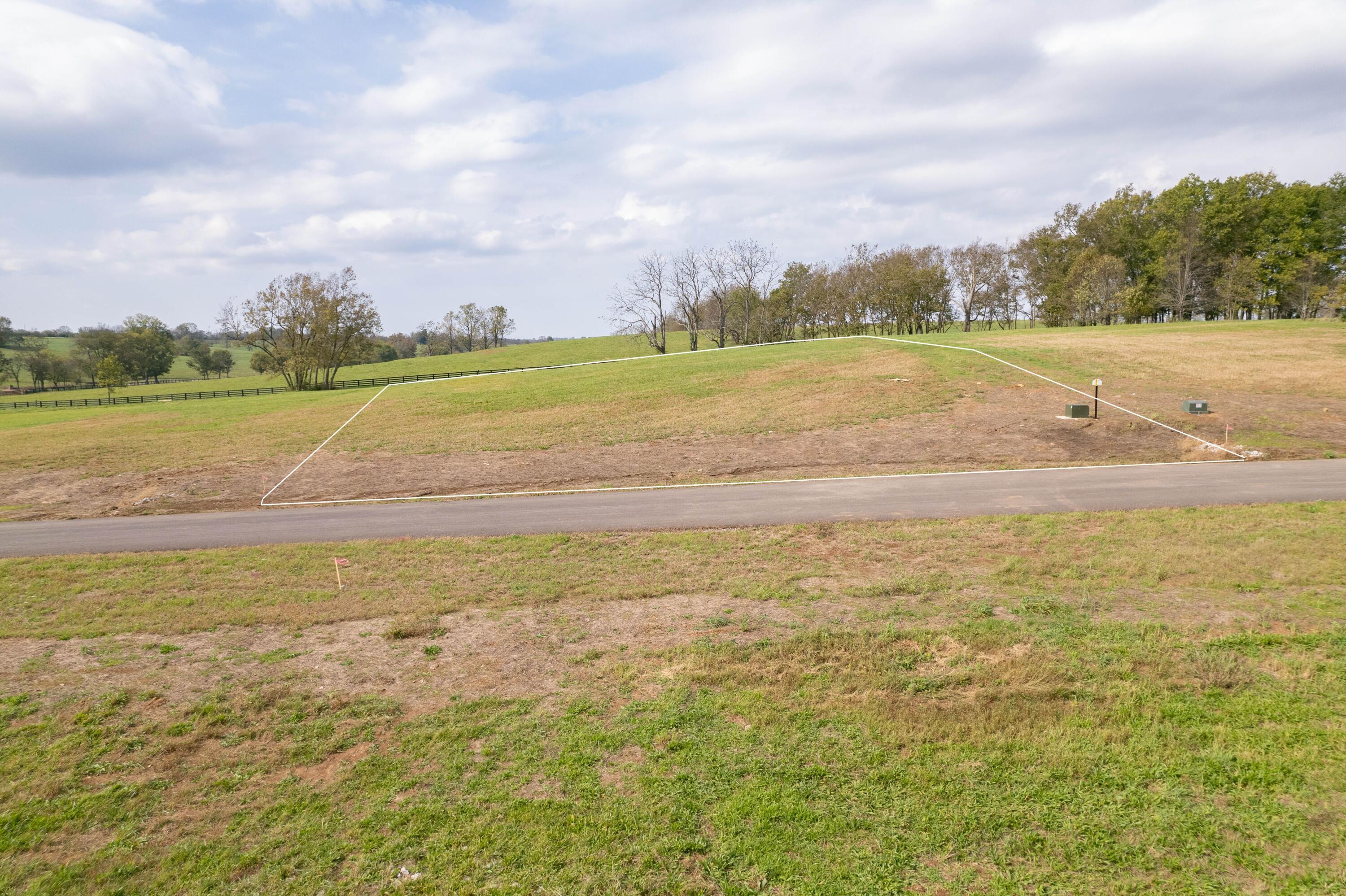 121 Lamplight Landing Property Photo 10