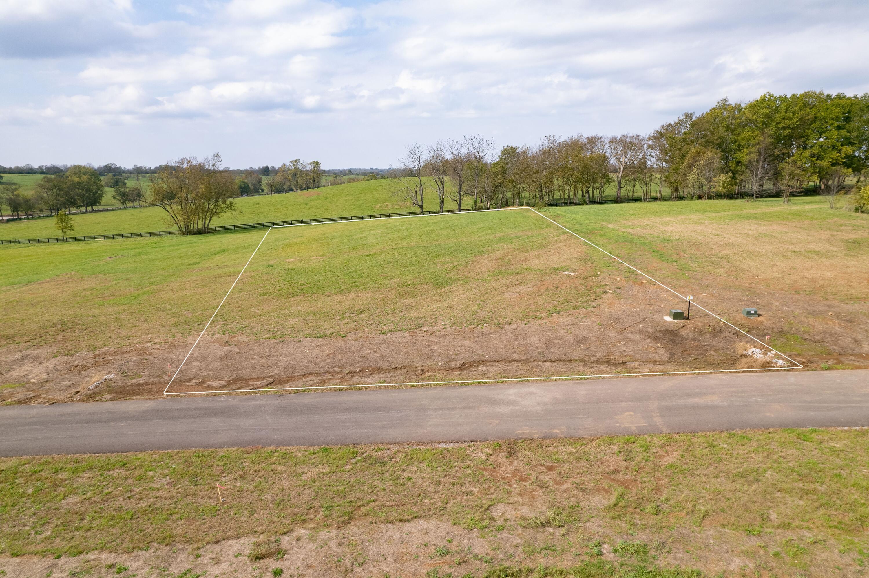 121 Lamplight Landing Property Photo 11