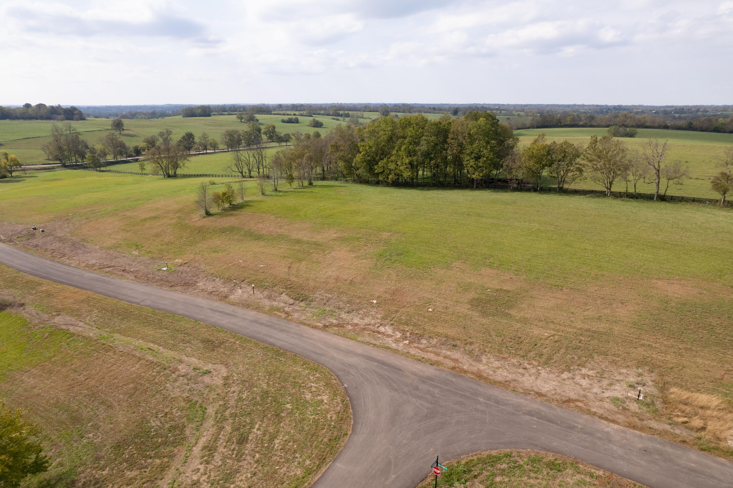 121 Lamplight Landing Property Photo 12