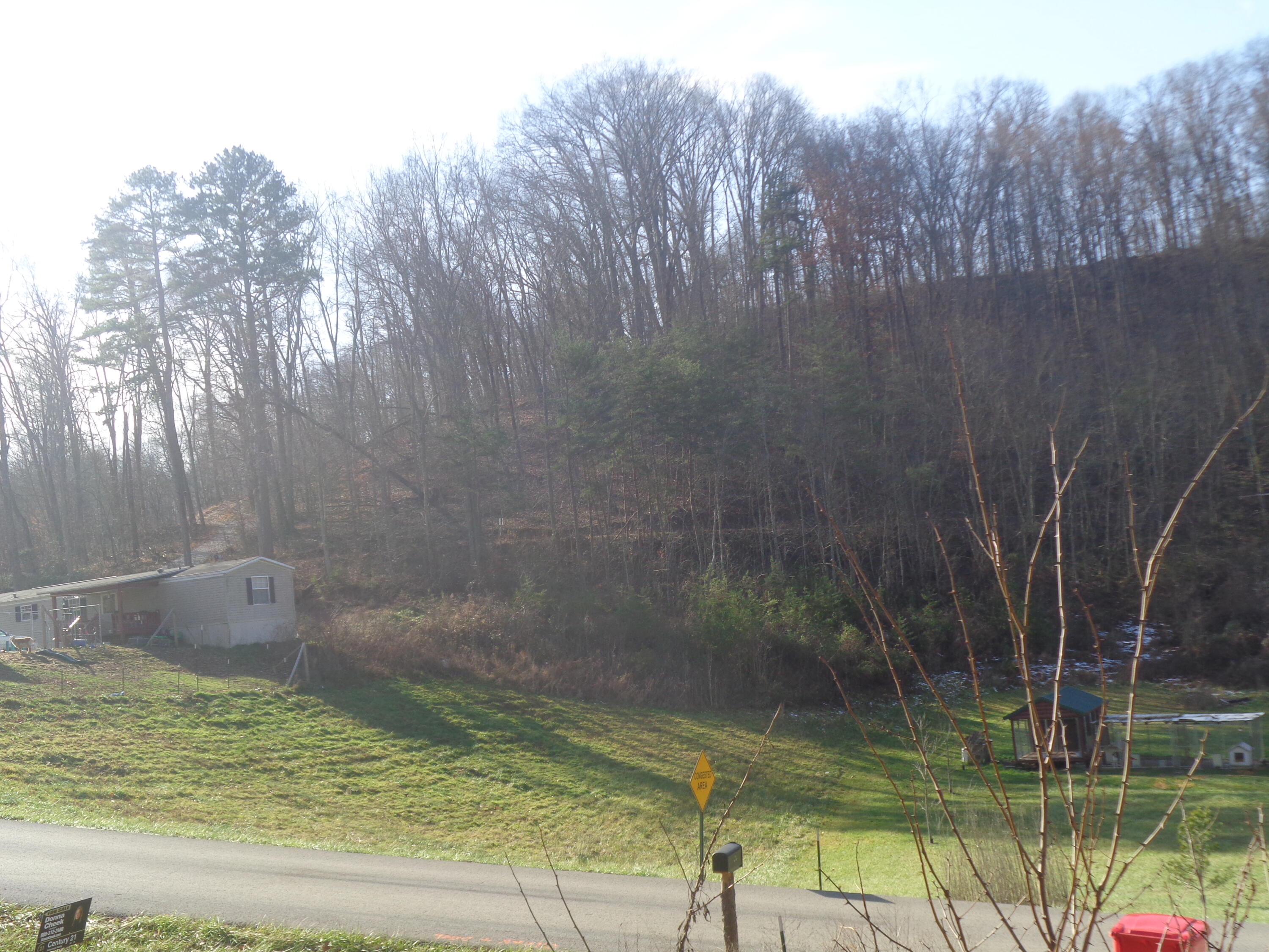 31 Freeman Branch Road Property Photo 1