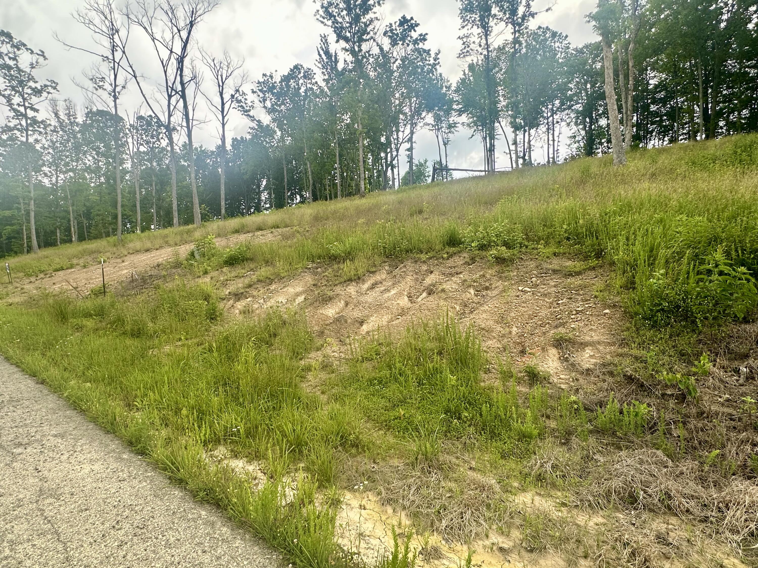 41 Malibu Drive Property Photo 4