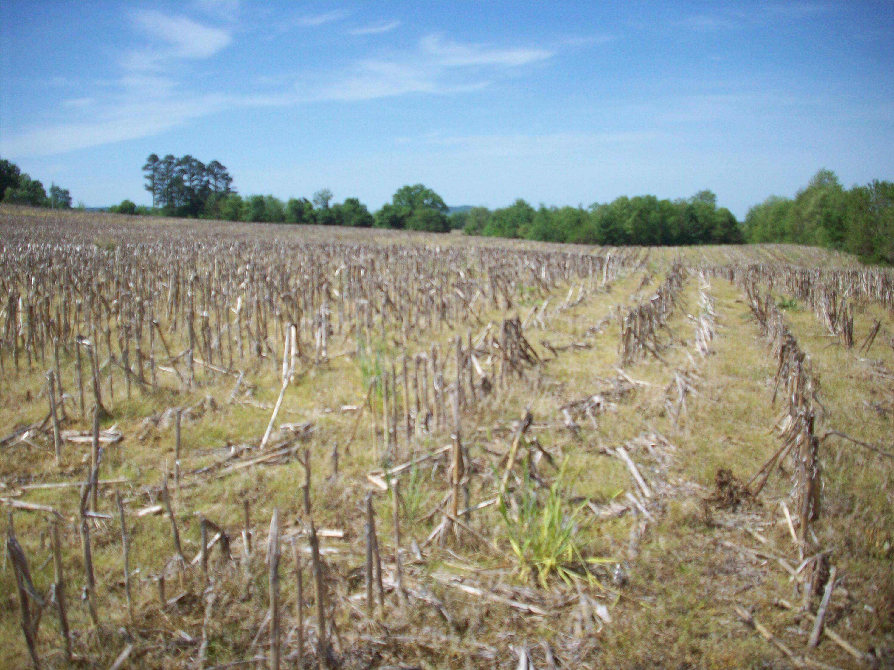 1 East Highway 90 Bypass Property Photo 10