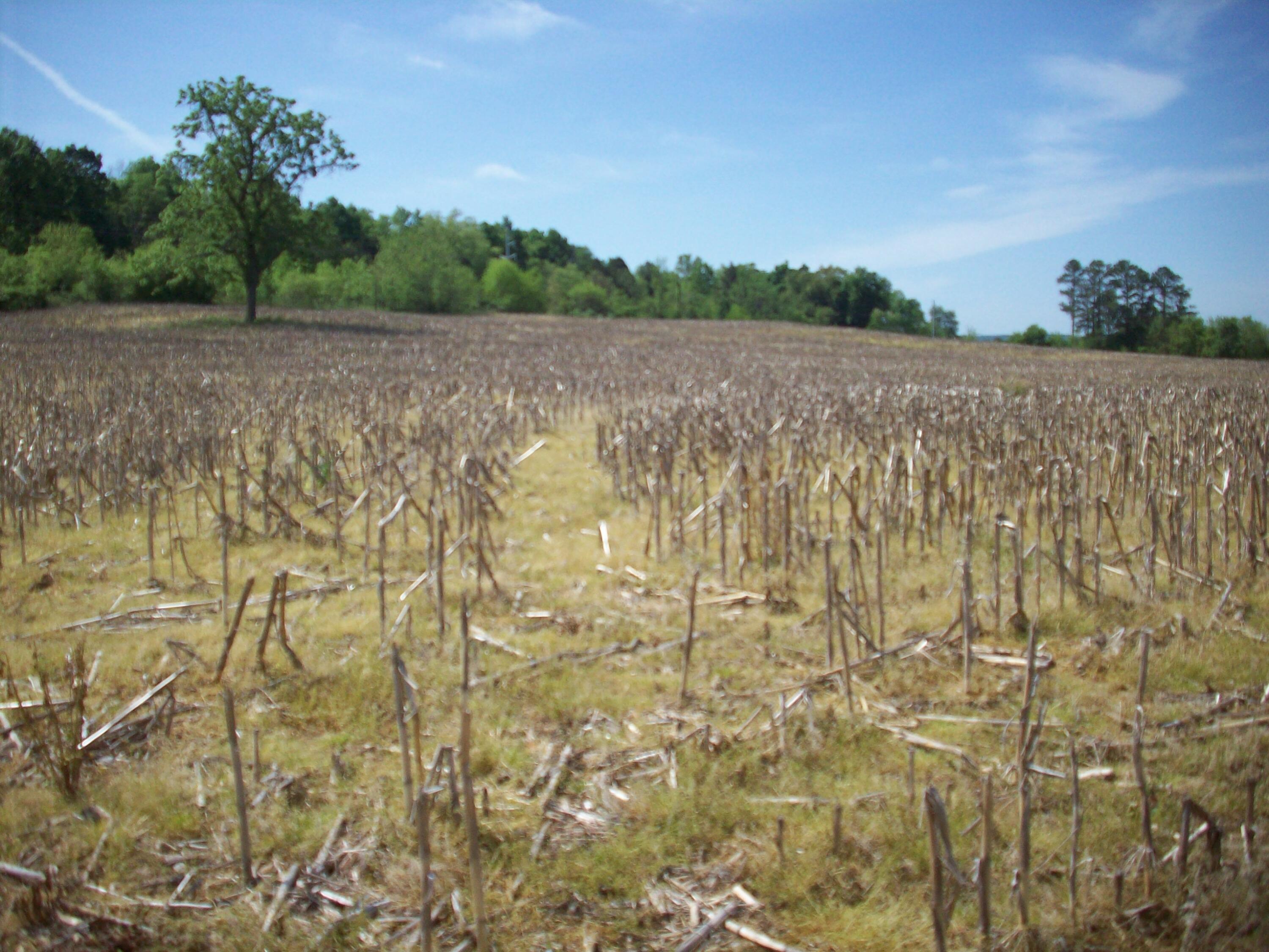 1 East Highway 90 Bypass Property Photo 11
