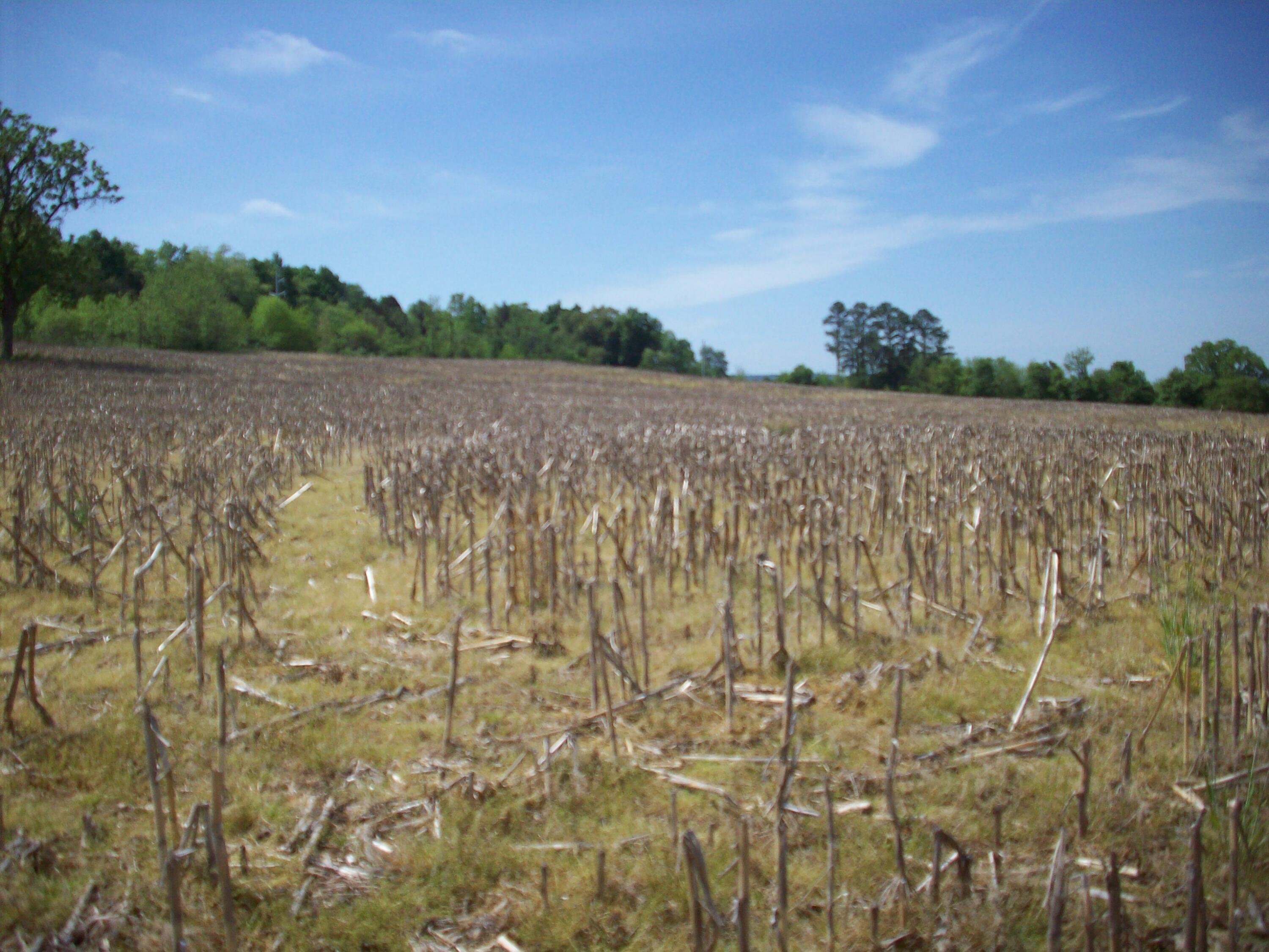 1 East Highway 90 Bypass Property Photo 12
