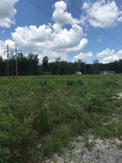 9999 Mitchell Creek Road Property Photo 1