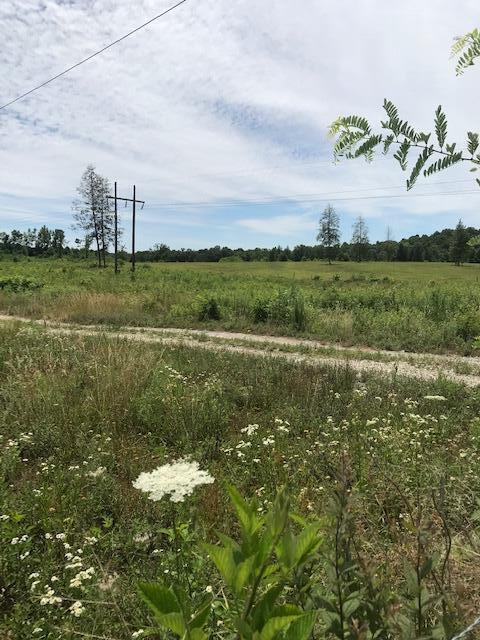 9999 Mitchell Creek Road Property Photo 9