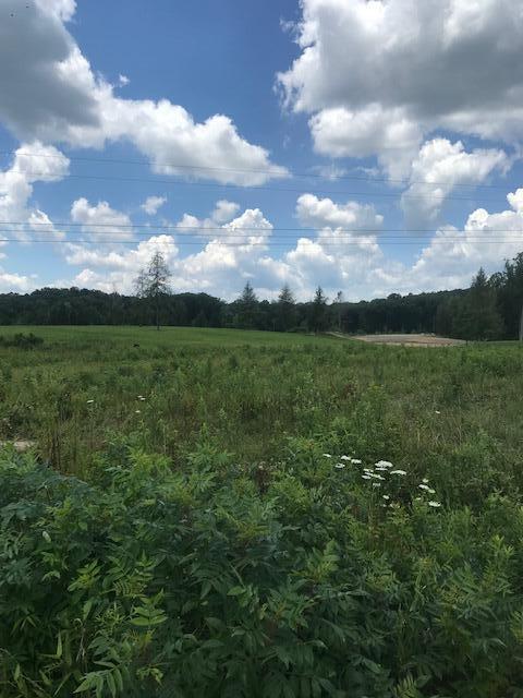 9999 Mitchell Creek Road Property Photo 10