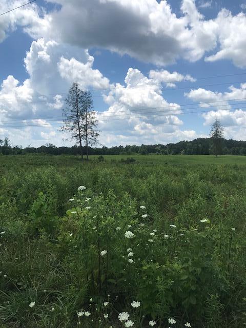 9999 Mitchell Creek Road Property Photo 12