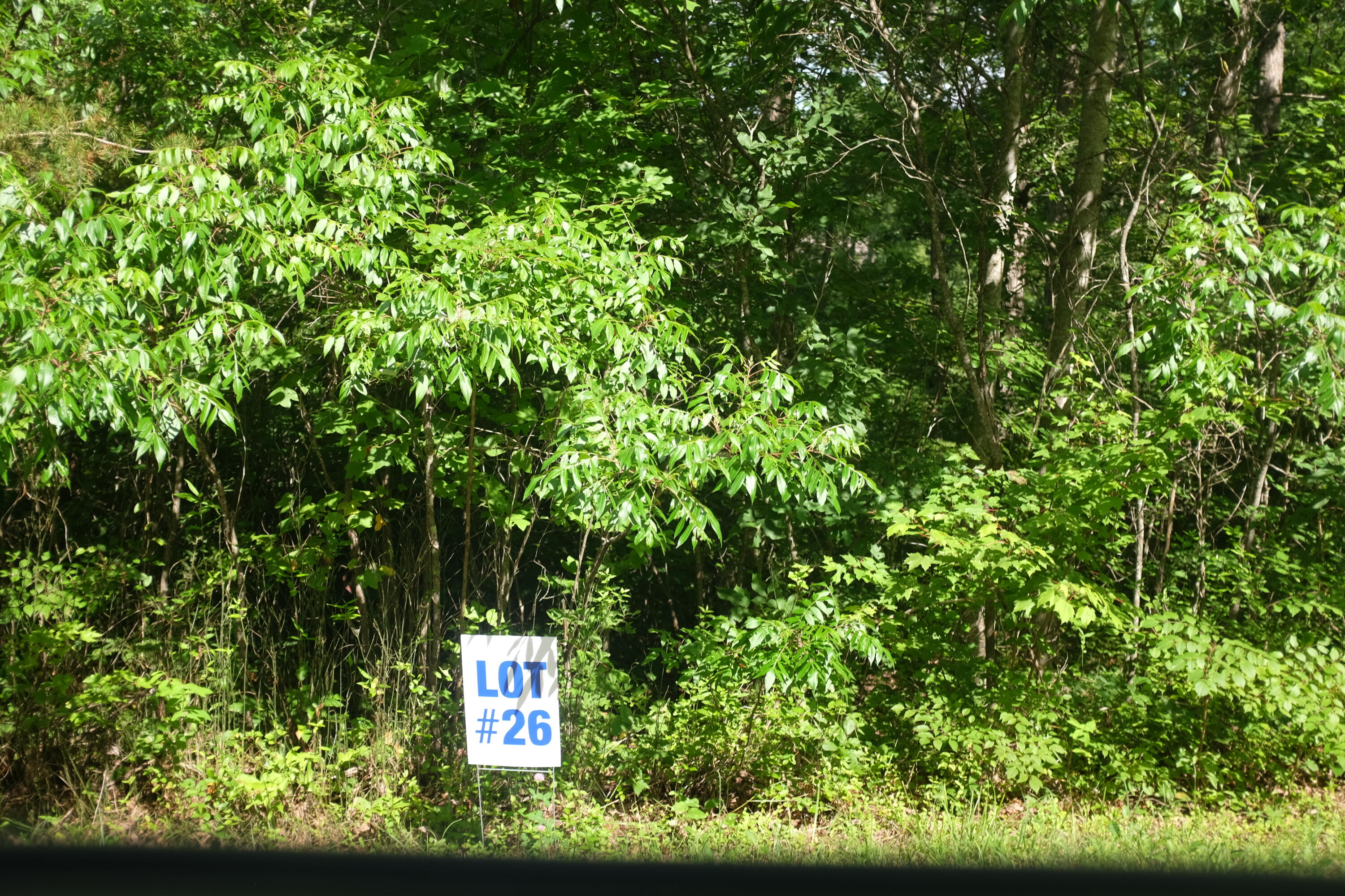 Lot 3 Golden Pond Drive Property Photo 33