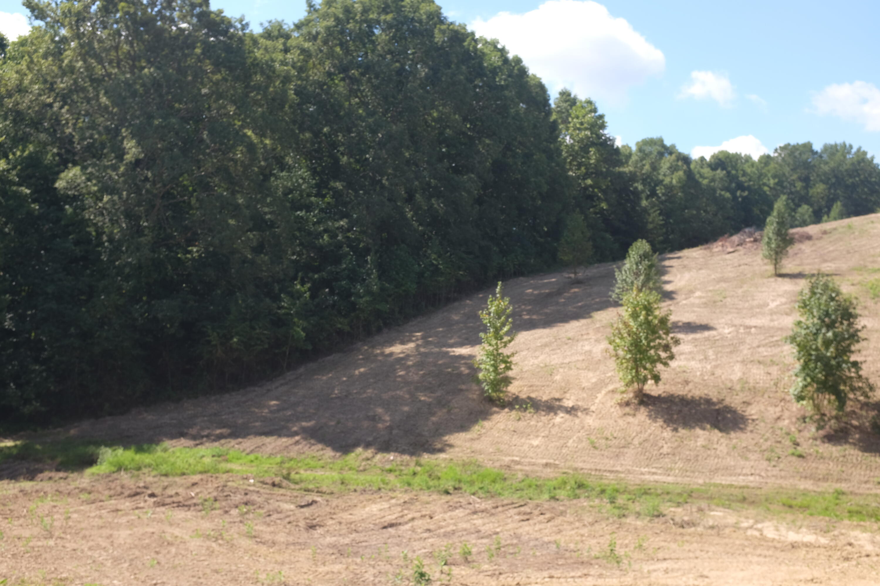 4 Golden Pond Drive Property Photo 5