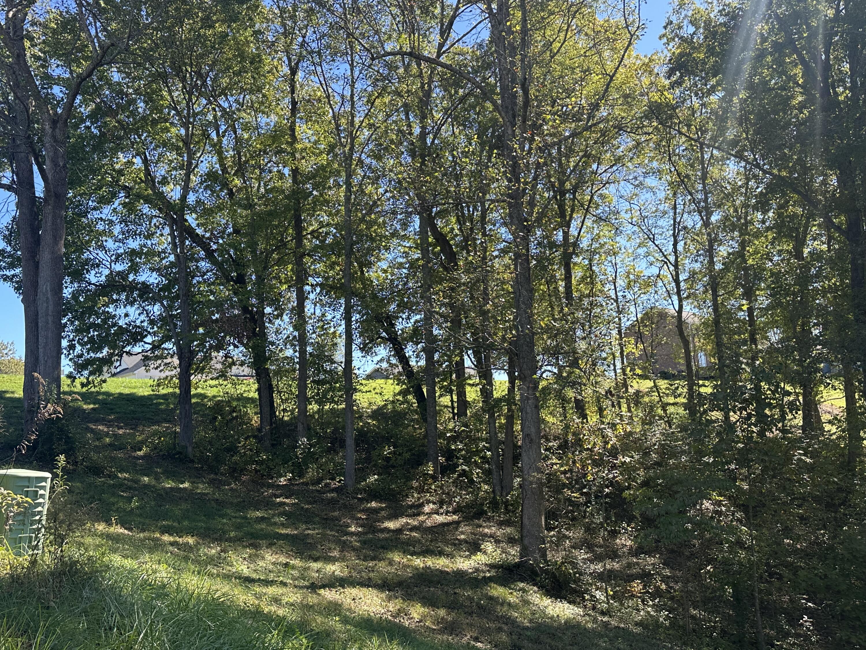 23 Deep Wood Drive Property Photo 12