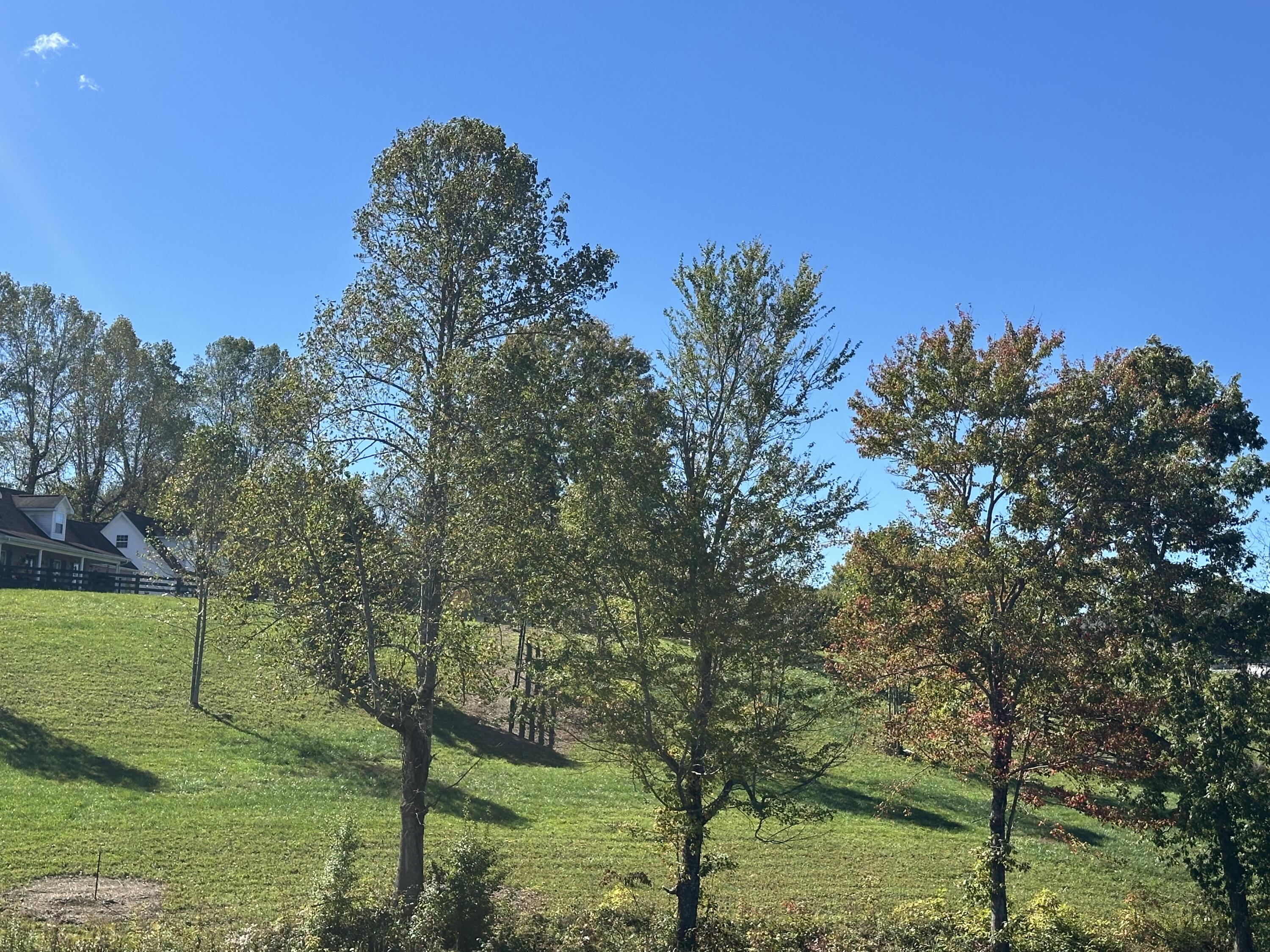47 Ridgeline Drive Property Photo 4