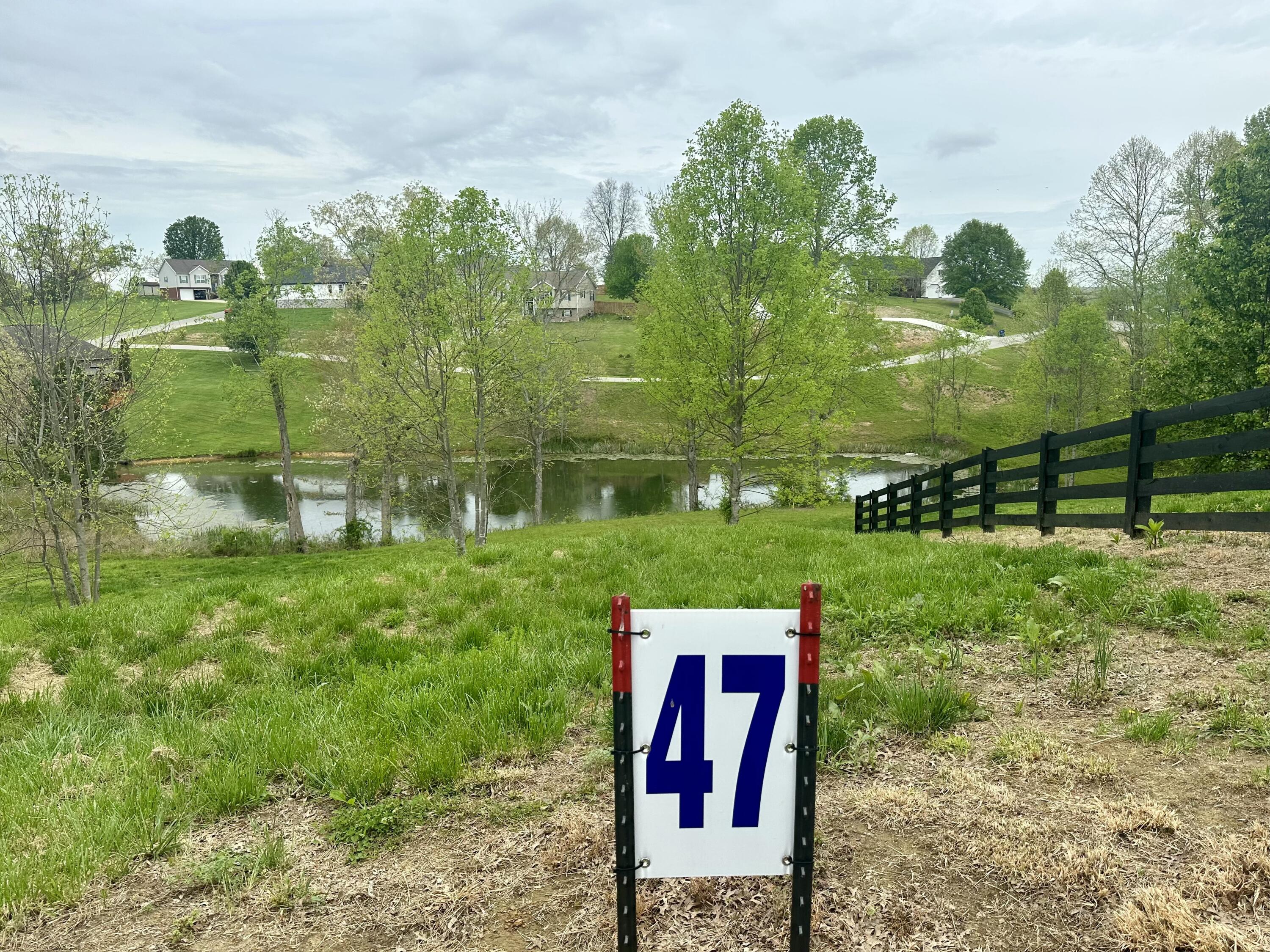 47 Ridgeline Drive Property Photo 10