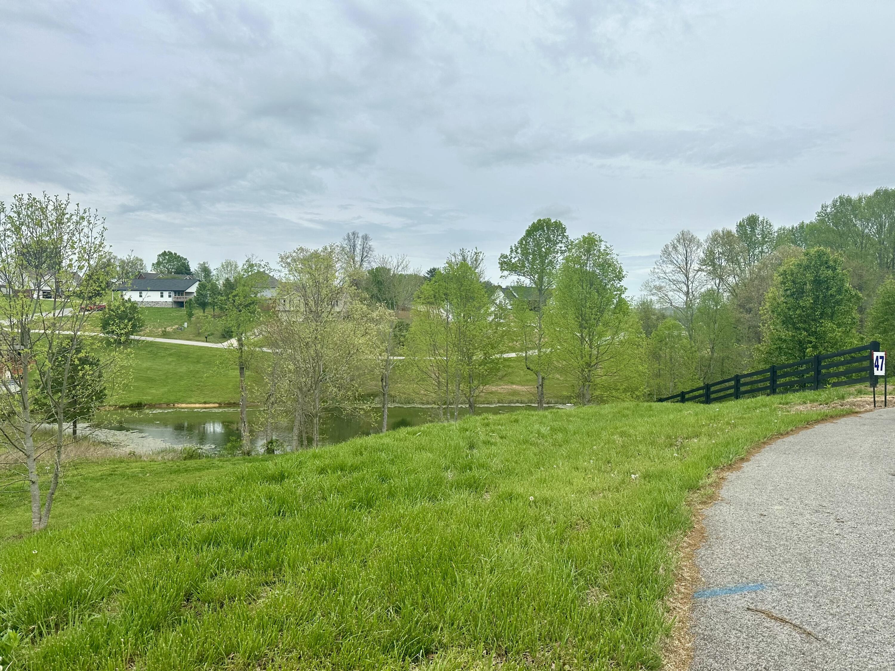 47 Ridgeline Drive Property Photo 15