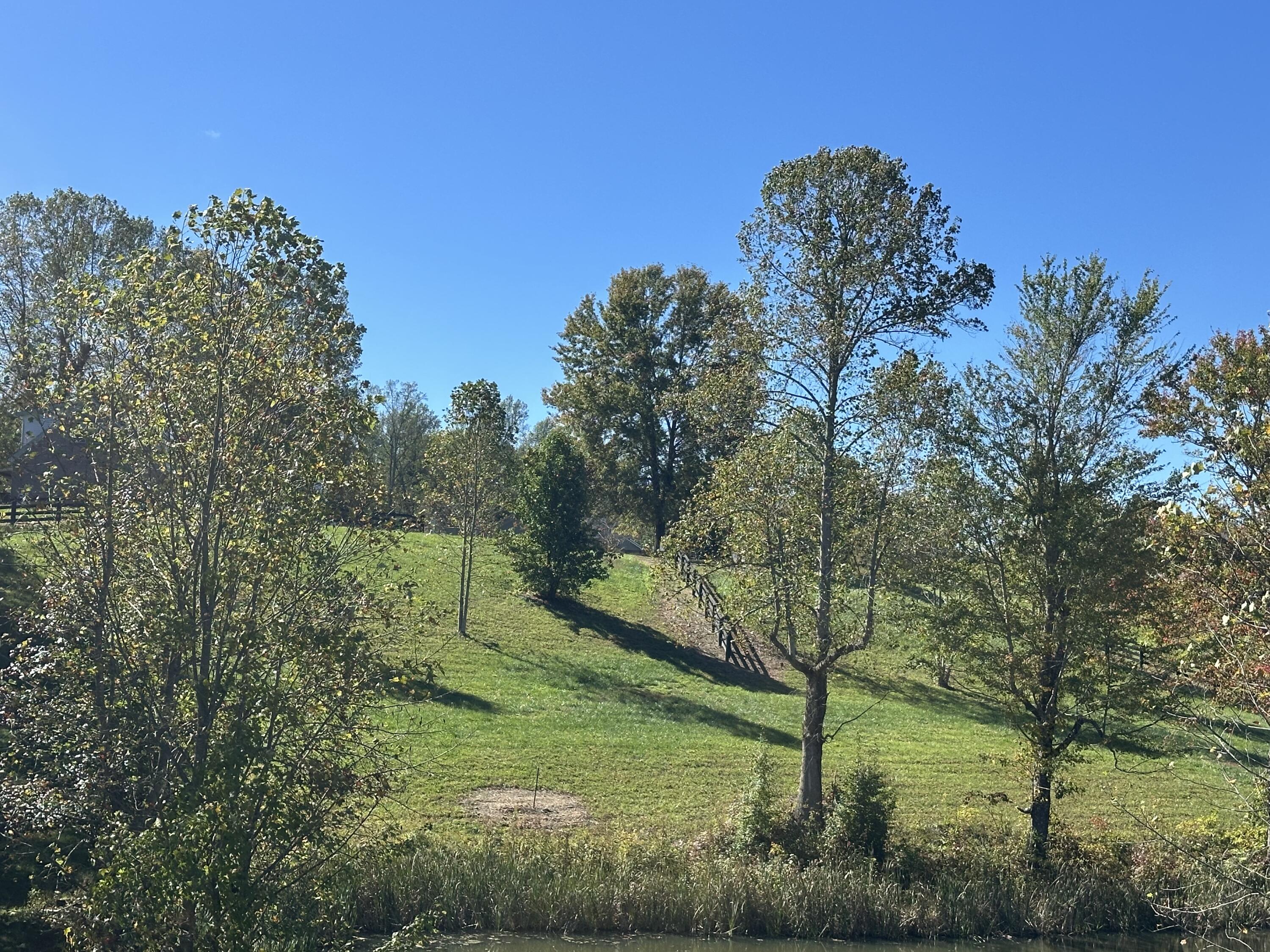 47 Ridgeline Drive Property Photo 16