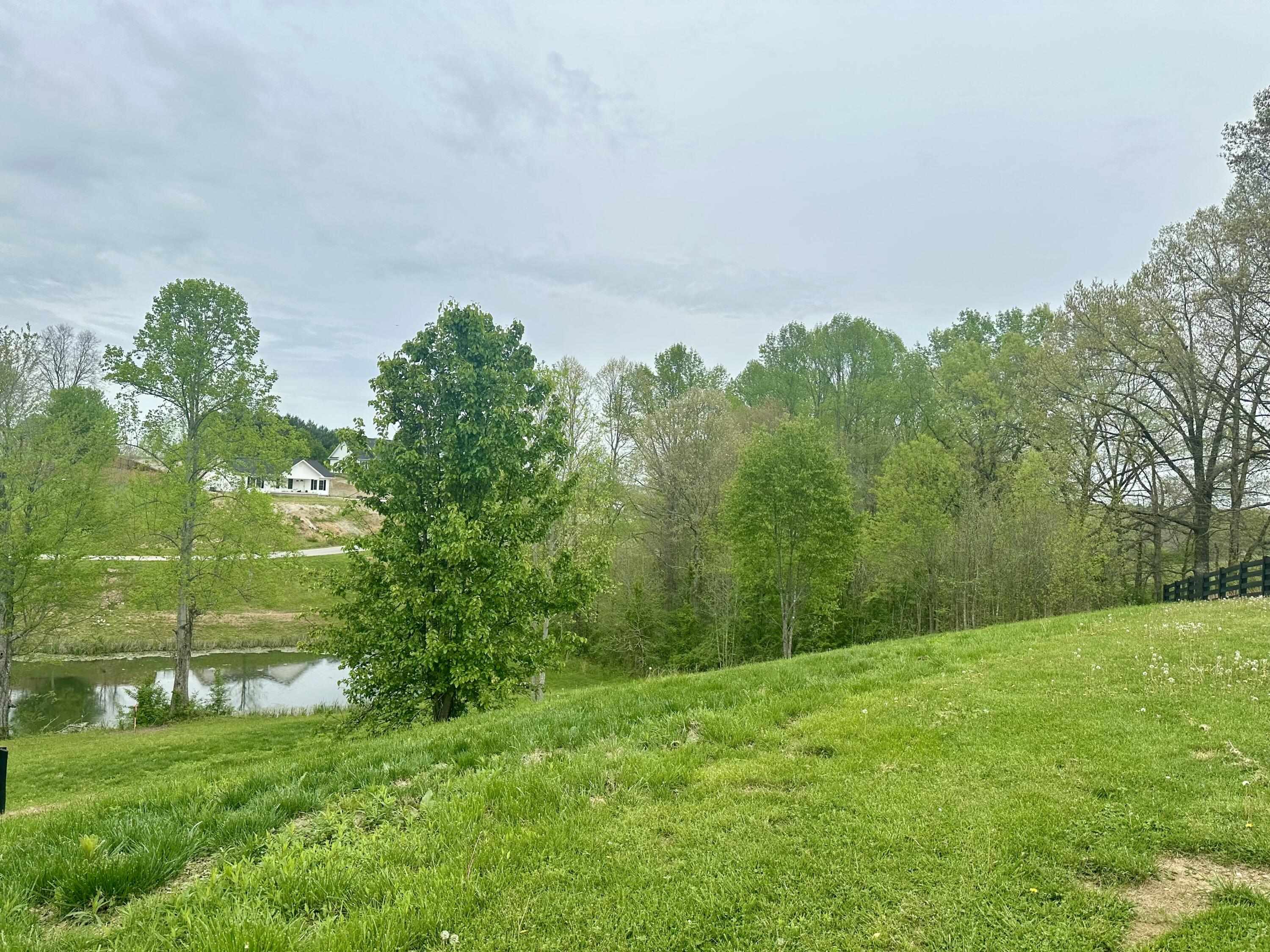 46 Ridgeline Drive Property Photo 8